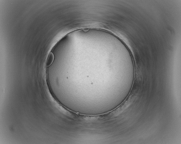 X0000111901389200908031107