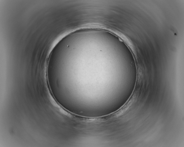 X0000111901390200908031107