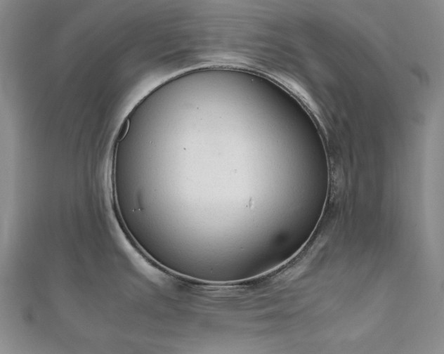 X0000111901391200908031107