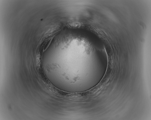 X0000111901394200908031107