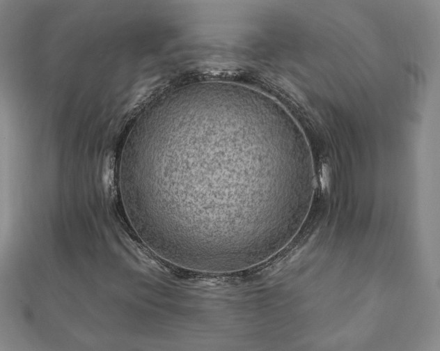 X0000111901396200908031107