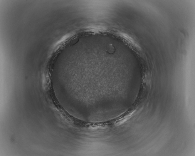 X0000111901398200908031107