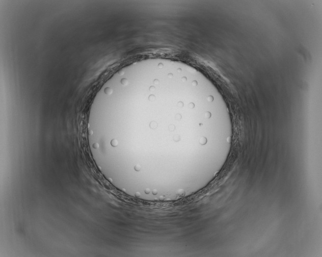 X0000111901399200908031107