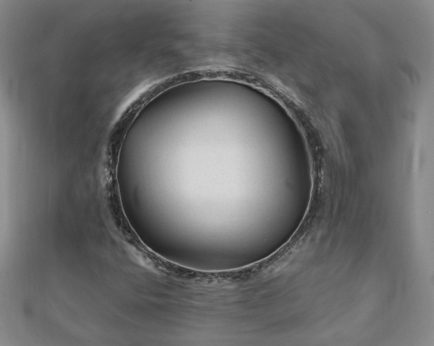 X0000111901400200908031107