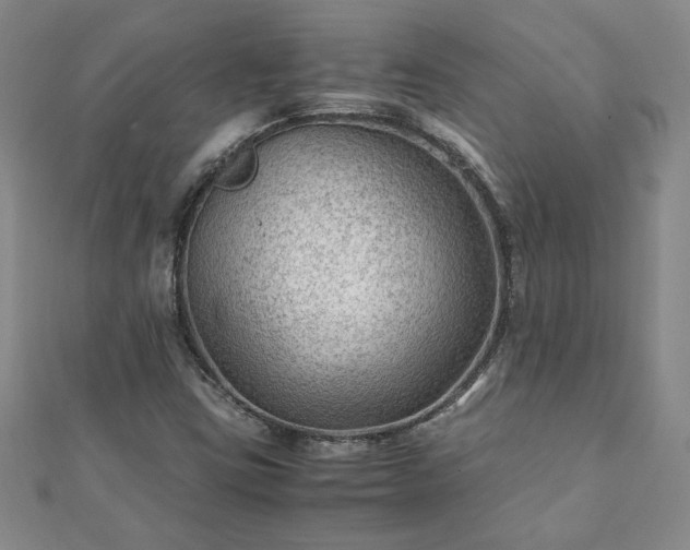 X0000111901403200908031107