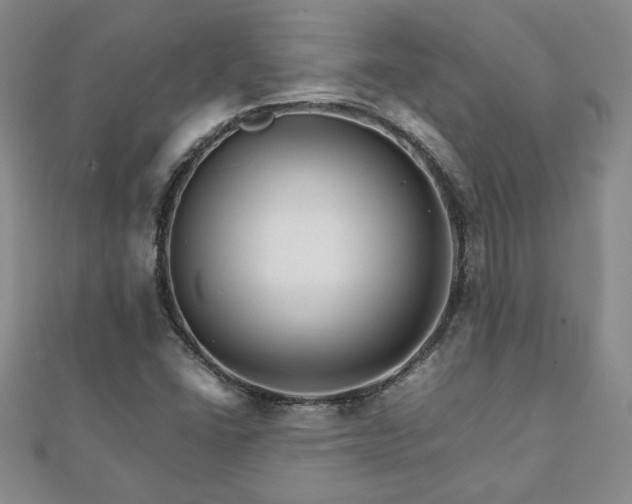 X0000111901406200908031107