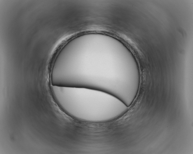 X0000111901408200908031107