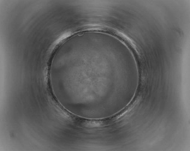 X0000111901411200908031107