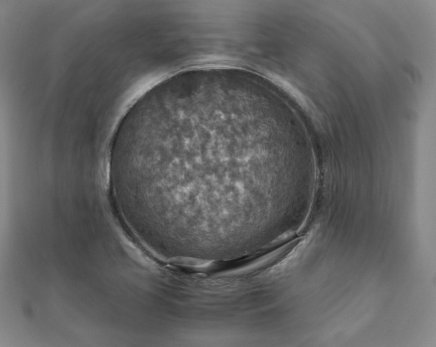 X0000111901413200908031107