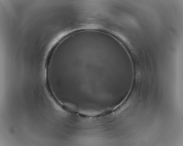 X0000111901414200908031107