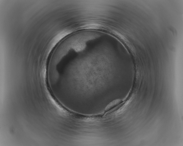 X0000111901418200908031107