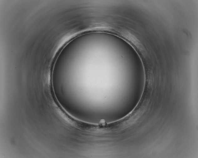 X0000111901420200908031107