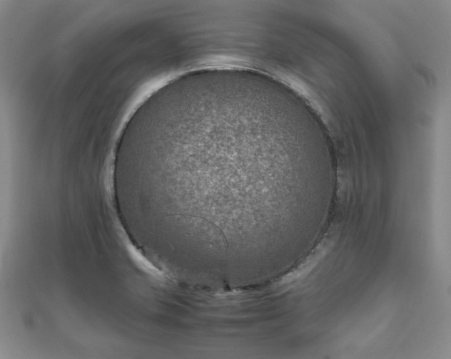 X0000111901421200908031107