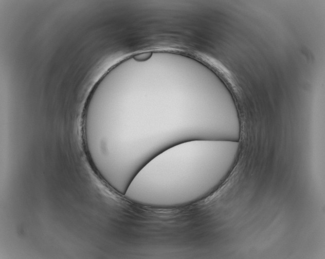 X0000111901423200908031107