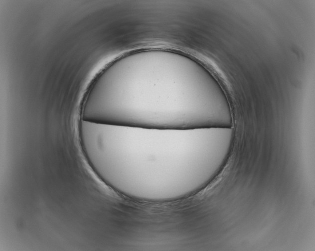 X0000111901424200908031107