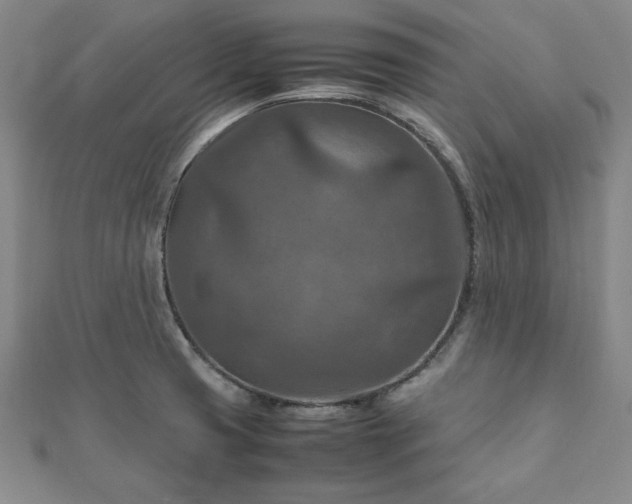 X0000111901425200908031107