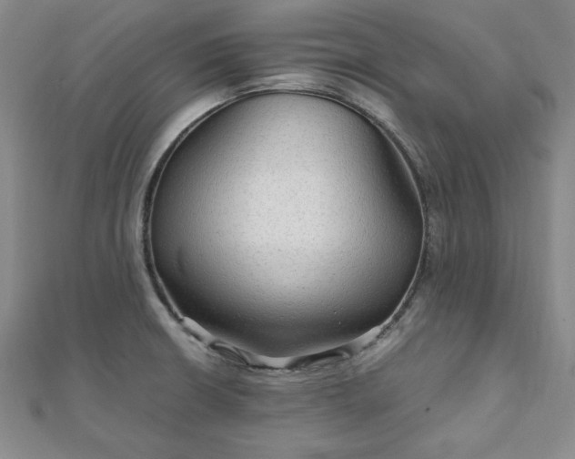 X0000111901426200908031107