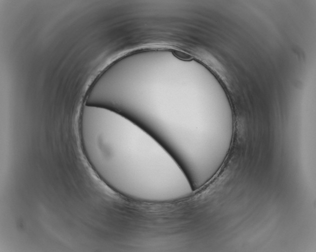 X0000111901428200908031107