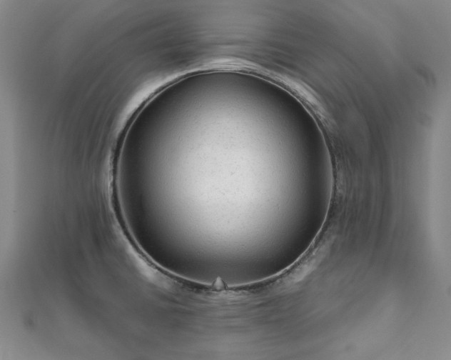 X0000111901430200908031107