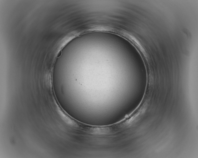 X0000111901433200908031107