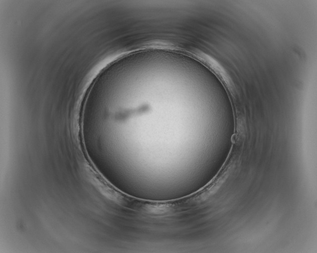 X0000111901435200908031107