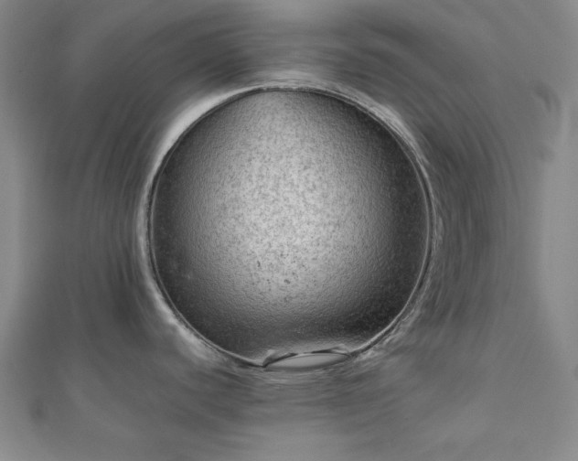 X0000111901440200908031107