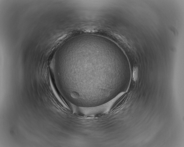 X0000111901444200908031107