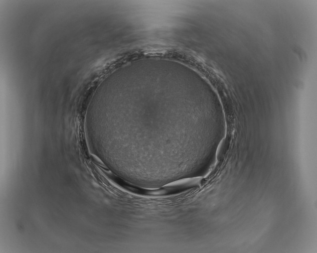 X0000111901445200908031106