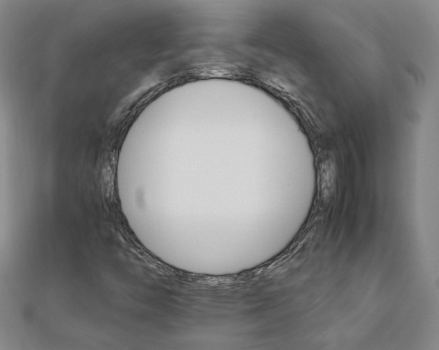 X0000111901446200908031106