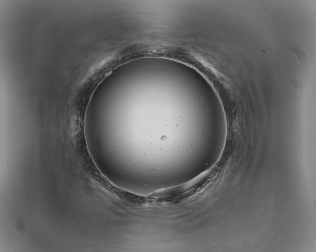 X0000111901447200908031106