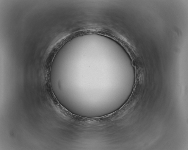 X0000111901448200908031106