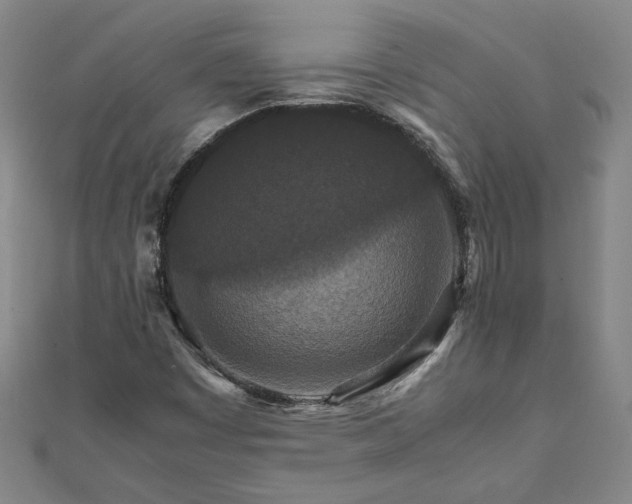 X0000111901449200908031106