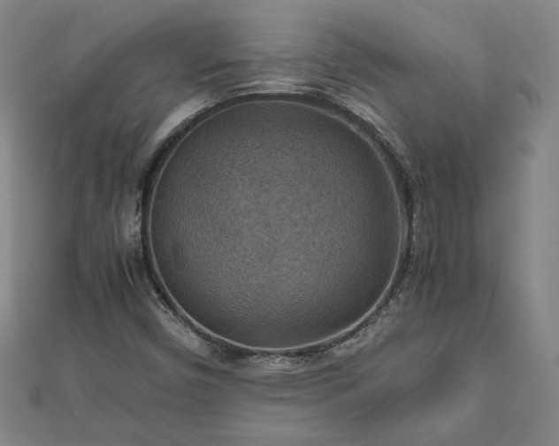 X0000111901450200908031106