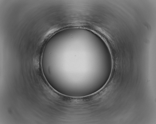 X0000111901451200908031106