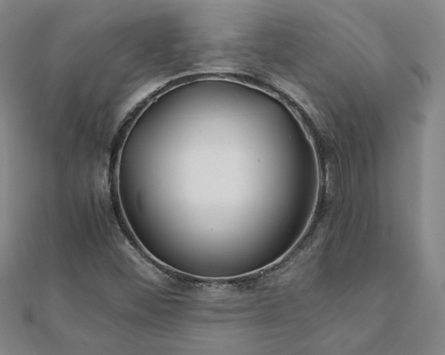 X0000111901452200908031106