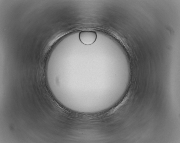 X0000111901453200908031106