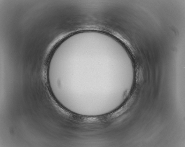 X0000111901454200908031106