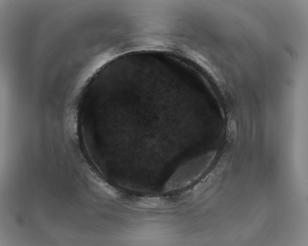 X0000111901455200908031106