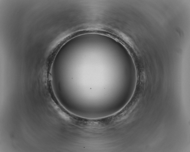 X0000111901456200908031106