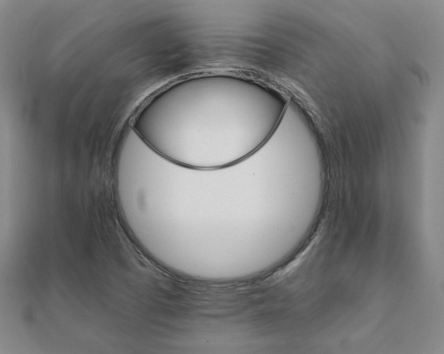 X0000111901457200908031106