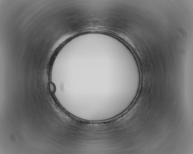 X0000111901458200908031106