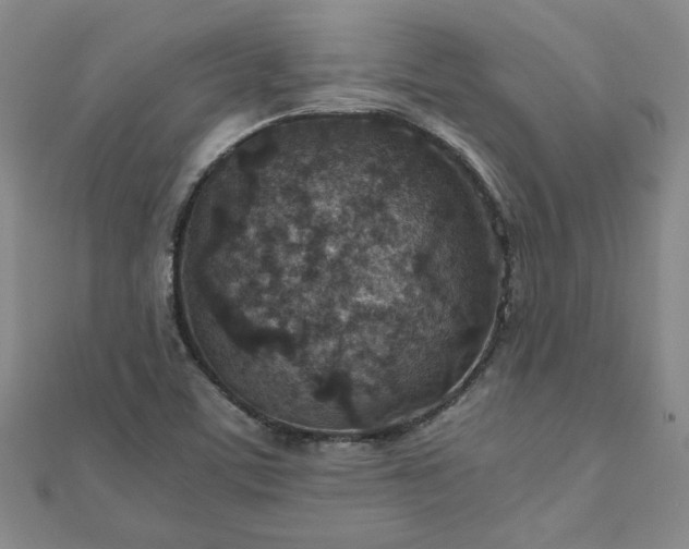 X0000111901459200908031106