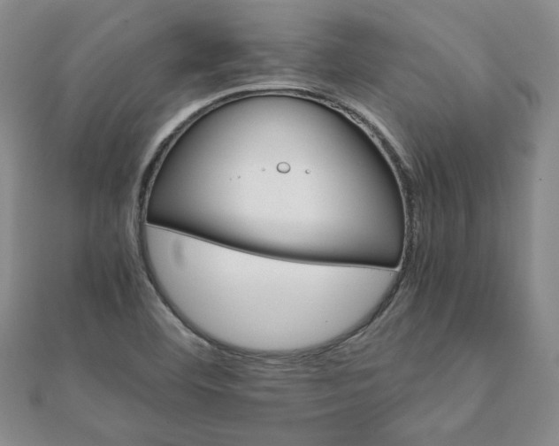 X0000111901460200908031106