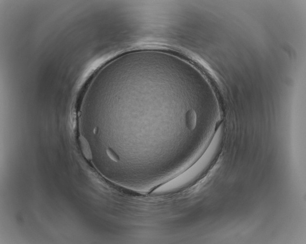 X0000111901461200908031106