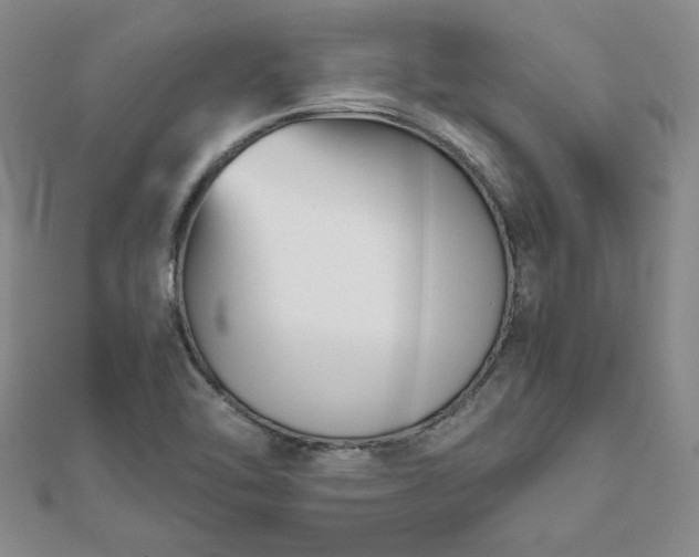 X0000111901462200908031106