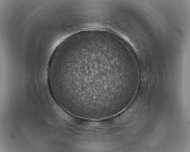 X0000111901463200908031106