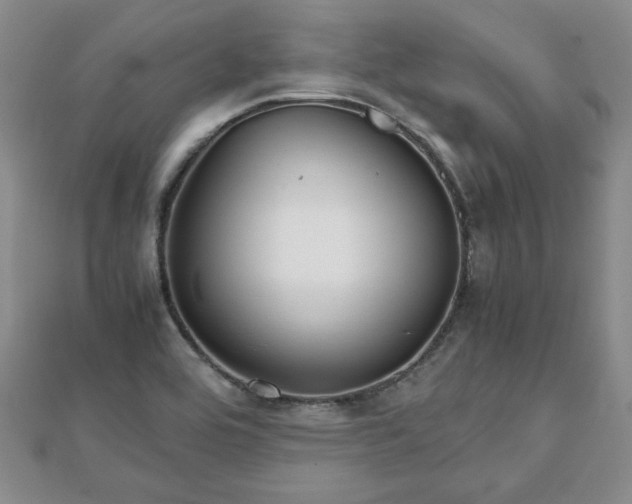 X0000111901464200908031106