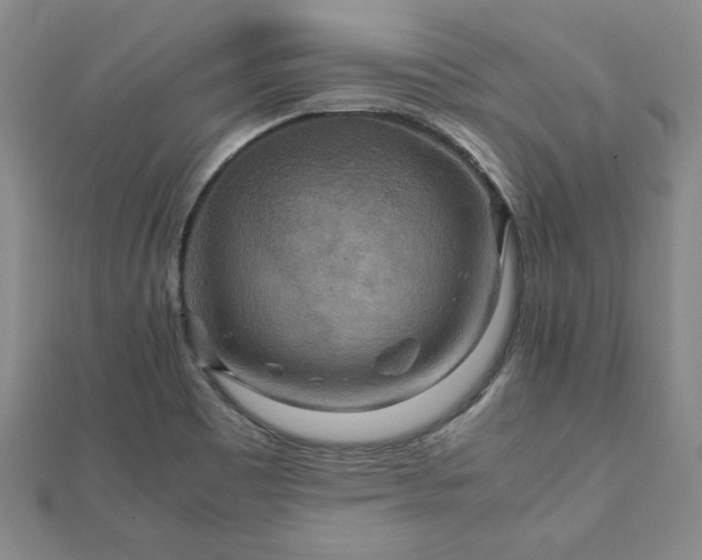 X0000111901465200908031106