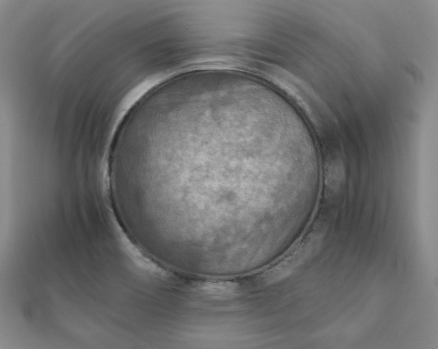 X0000111901466200908031106