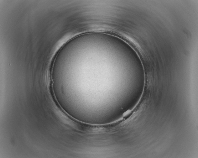 X0000111901467200908031106